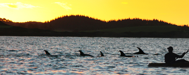 bay-of-islands